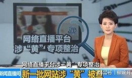 女子爆料淄博新闻事件视频,真相背后引人深思