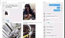 张杰营销号爆料视频大全,揭秘明星幕后故事